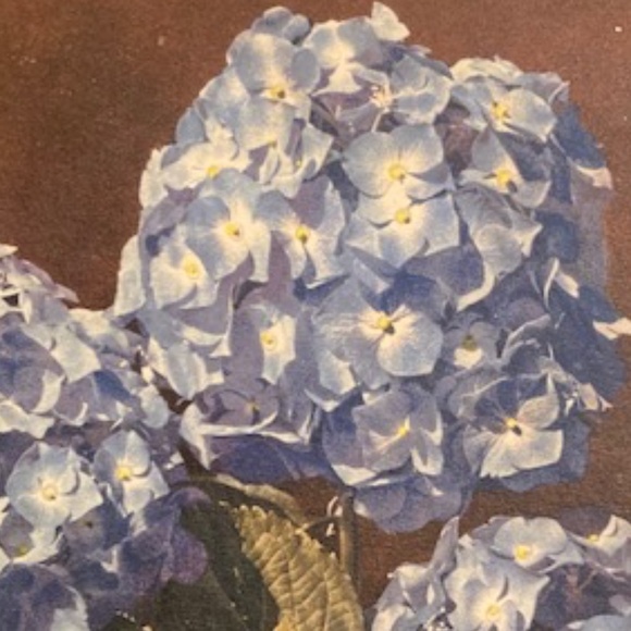 Happy Poshing! - Picture 8 of 16